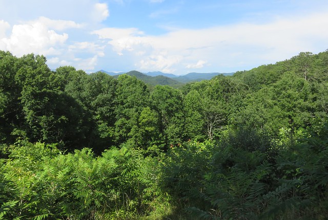 Appalachian Landscape (Rabun County, Georgia)