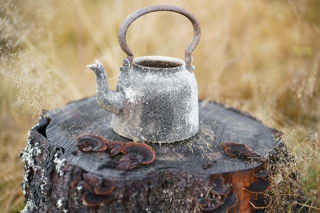 Old coffee pot