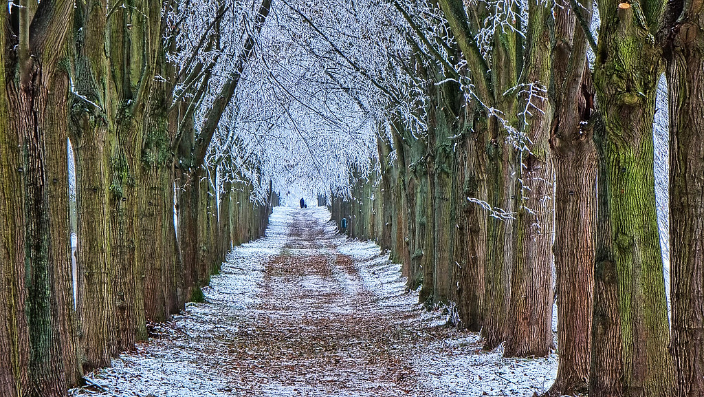 Tunnel of frost