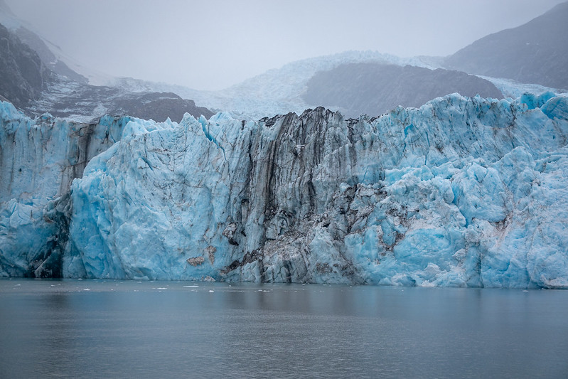 16/08/2022: Crucero al Glaciar Columbia - Un viaje por ALASKA en el nublado agosto de 2022 (23)
