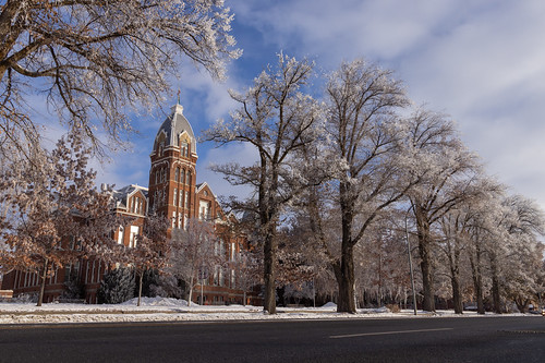 Frosty Winter Campus-8791