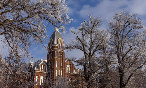 Frosty Winter Campus-8783
