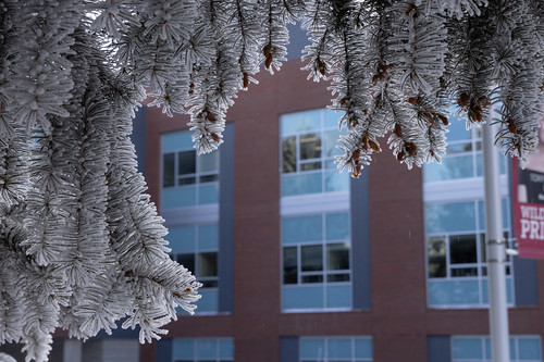 Frosty Winter Campus-9022
