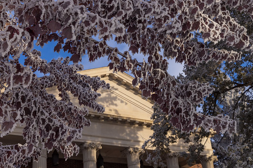Frosty Winter Campus-8774