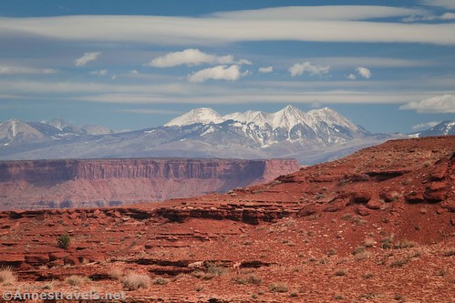 The La Sal Mountains over red cliffs, Canyonlands National Park, Utah