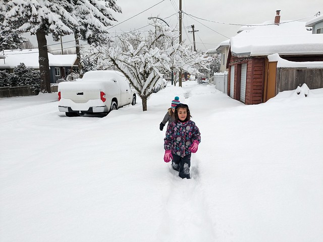 Snowy Sidewalks