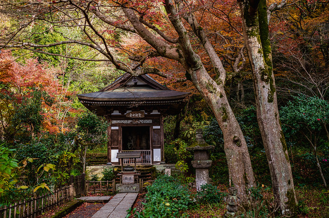 Autumn Temple