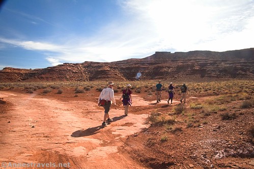Leaving the White Rim Road for a cross-country hike to Monument Basin Overlook, Canyonlands National Park, Utah