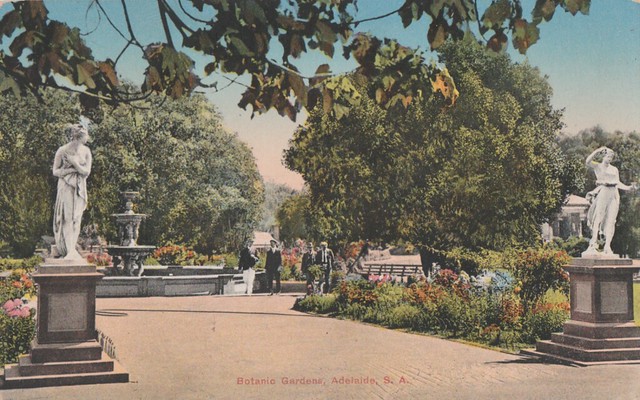 Botanic Gardens in Adelaide, South Australia - circa 1910
