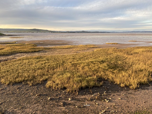 Exmouth Local Nature Reserve
