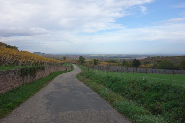 Walking from Riquewihr to Ribeauville, Alsace, France