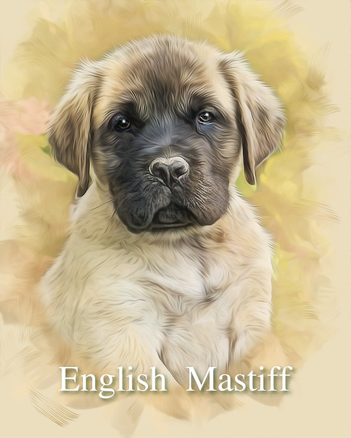 English Mastiff - Digital Art