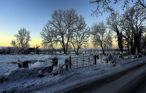 winter morning sunrise snow countryside
