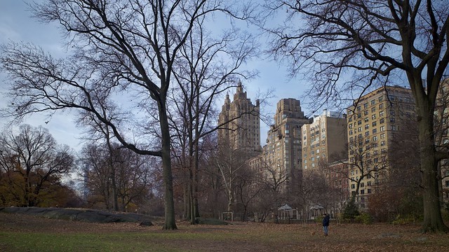 The Upper West Side and Central Park - Early Winter
