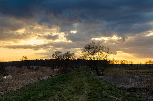 #54 by mp12_nature, 03.04.2020sunset zachódsłońca zachód wał wałprzeciwpowodziowy niebo sky natura nature colours kwieci