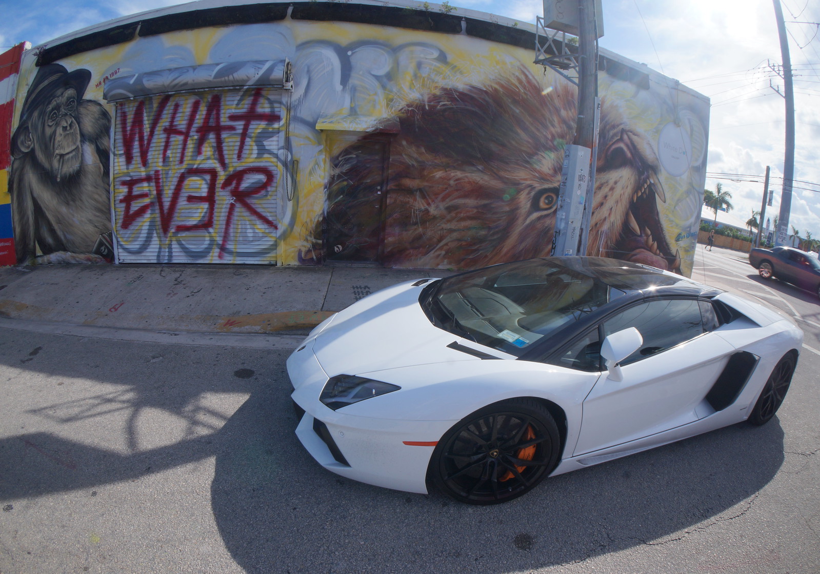 Lamborghini Aventador in Wynwood, Miami