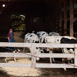 Silver Spoon Dairy Farm in Otsego County, New York Sonja Galley works at Silver Spoon Dairy Farm, along with her parents David and Cathy and sister Sarah, in Garrattsville, N.Y., on Nov. 3, 2016. The farm lies along roughly one mile of Butternut Creek, and has employed conservation practices since first installing manure storage 40 years ago. “Sixty cows would have been a huge dairy 70 years ago,” David Galley said. “We&#039;re producing more food on less acres, with less inputs and less carbon footprint than we ever have.” (Photo by Will Parson/Chesapeake Bay Program)

USAGE REQUEST INFORMATION
The Chesapeake Bay Program&#039;s photographic archive is available for media and non-commercial use at no charge.

To request permission, send an email briefly describing the proposed use to requests@chesapeakebay.net. Please do not attach jpegs. Instead, reference the corresponding Flickr URL of the image.

A photo credit mentioning the Chesapeake Bay Program is mandatory. The photograph may not be manipulated in any way or used in any way that suggests approval or endorsement of the Chesapeake Bay Program. Requestors should also respect the publicity rights of individuals photographed, and seek their consent if necessary.