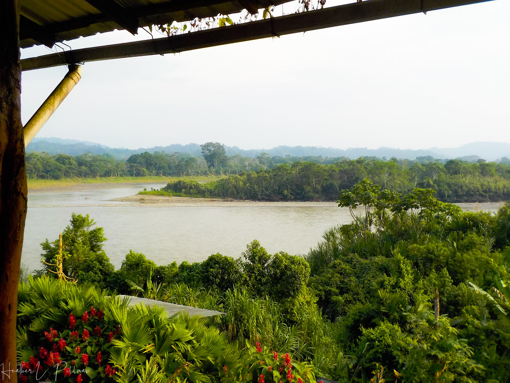 View of the Napo River