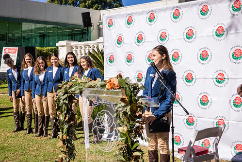 Parade of Roses (7)