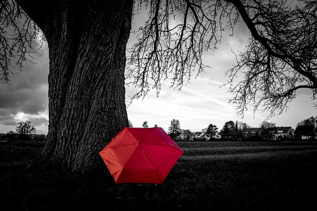 2022 - One Photo A Day - 358/365 - „My Red Umbrella - No.  2“