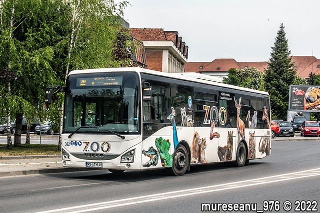 MS 47 MUN (#302) Transport Local Targu-Mures