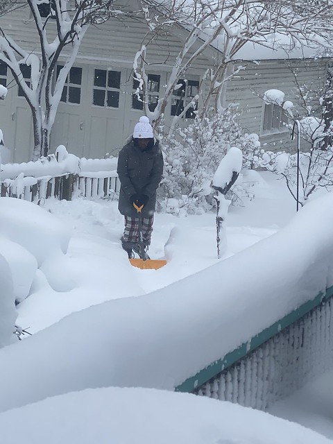 Girl Shoveling Snow for Dogs Backyard Blizzard