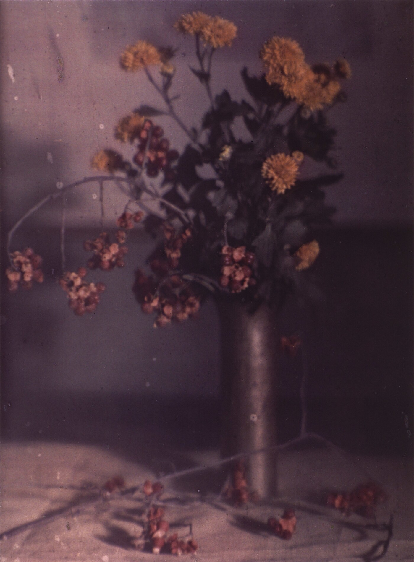Karl Struss :: Still Life with Pewter Vase, New York, ca. 1910. Dye imbibition print from the original Autochrome, printed ca. 1981. | src Amon Carter Museum