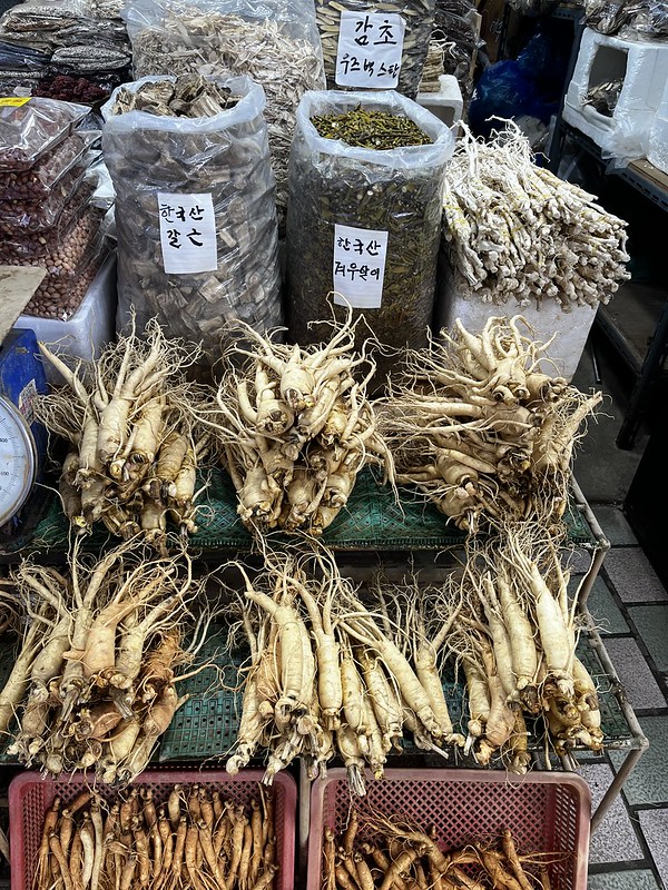 Dongmun Market | Jeju