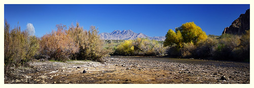 four peaks tonto arizona national forest public lands america united states wild west southwest salt river autumn color leaves cottonwood tree sonoran desert riparian zone blue sky panoramic panorama jared gerlach sony a7 samyang af 45mm f18 fe emount polarizer