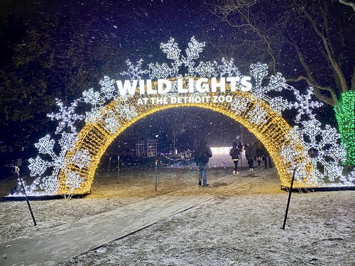 michigan waynecounty royaloak detroitzoo zoolights art winter snow night suburban