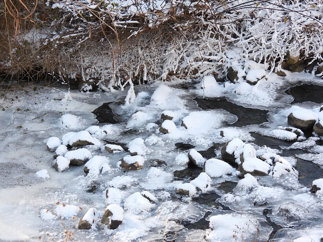 the freezing creek