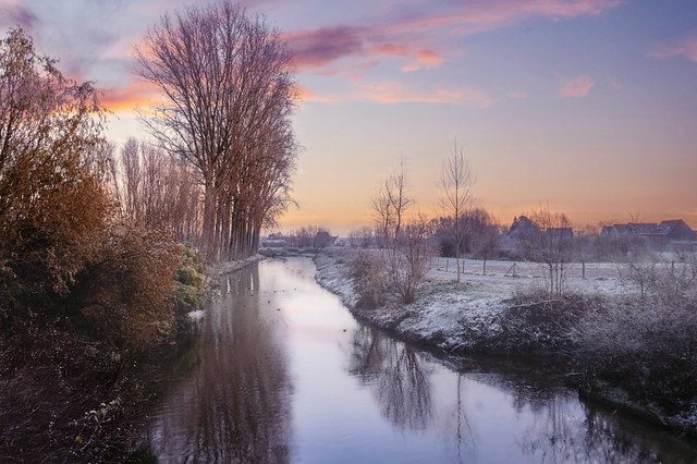 A winter morning in Damme