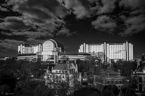 monochrome bnw blackandwhite cityscape city sky clouds wide angle wideangle hdr contrast sunrise sunset europe bruxelles brussels windows glass architecture urban mono park night tree winter zen mood