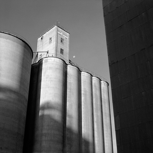 Grain Elevator and Moon, Endicott, Washington