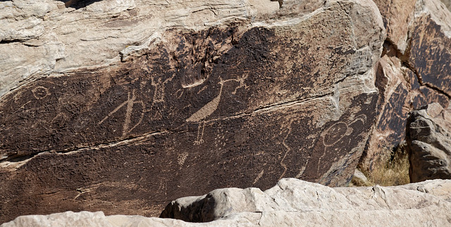 Large Bird and Other Petroglyphs Present While Walking the Puerco Pueblo (Petrified Forest National Park)