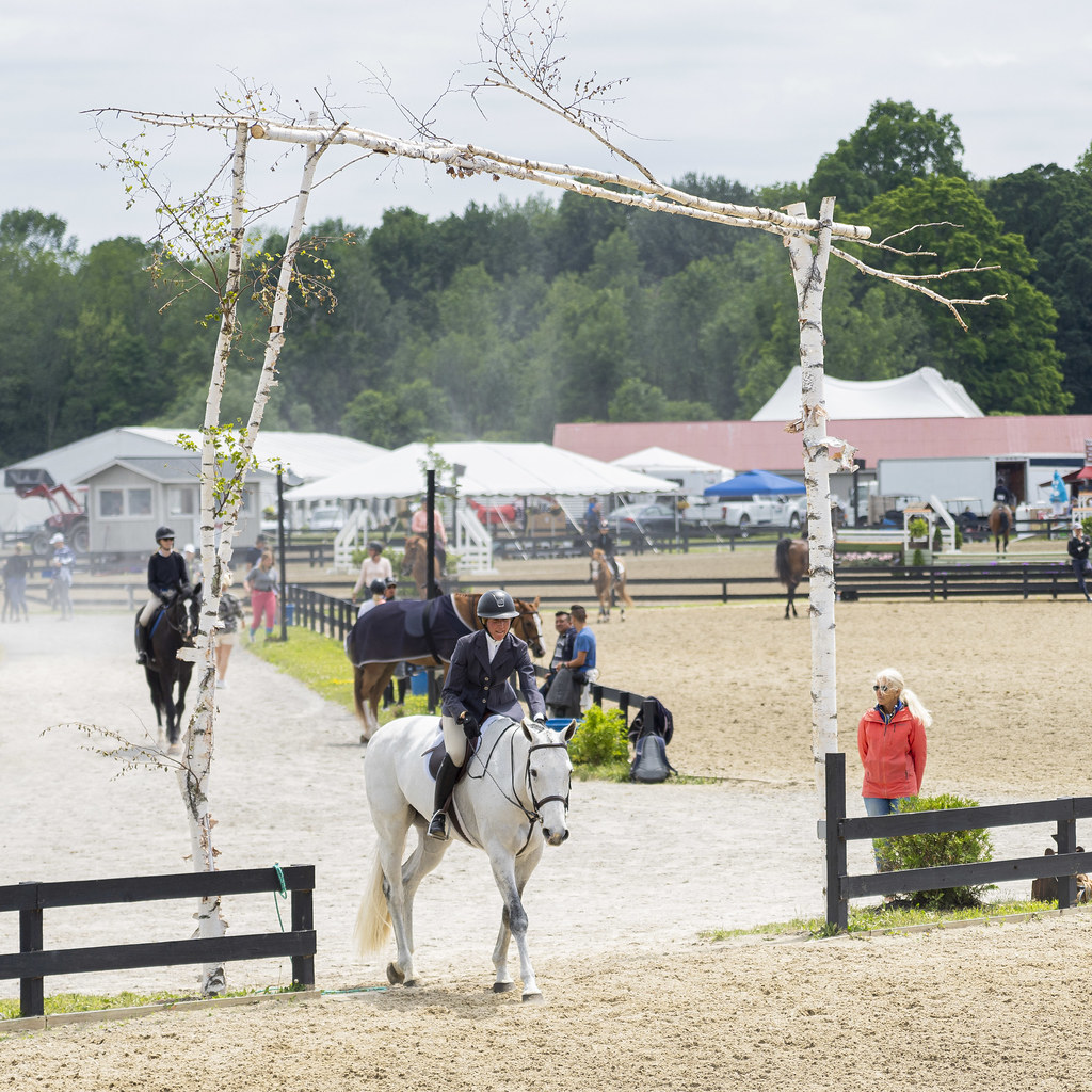 Saratoga Horse Show 2022 III