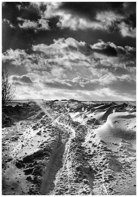 Winterweg - winter way