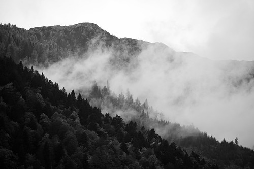 Misty Mountains by virtualwayfarer, Eager to catch the fall colors, we took a week in late autumn and headed to Austria and Italy for a