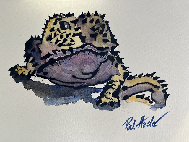New Mexico Horned Lizard, dribbled Ink and watercolor