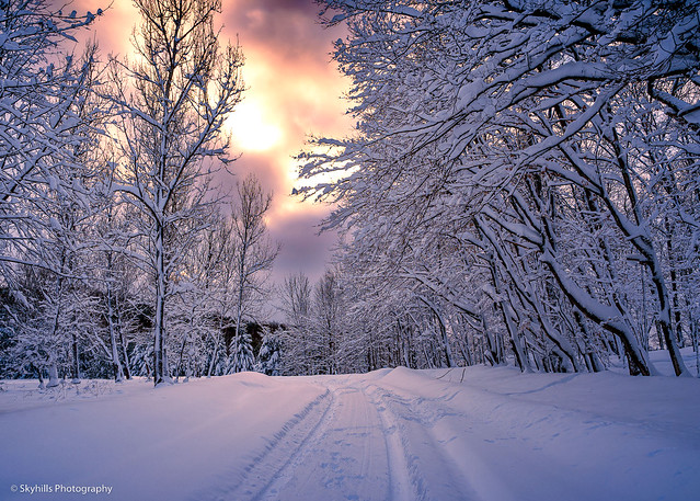 A walk down the snow covered road at sunrise.