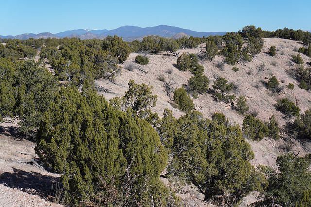 gorgeous New Mexico landscape, 2