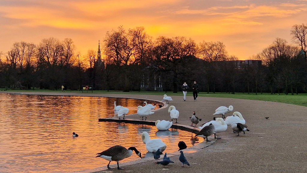 Sunrise in Kensington Gardens.....