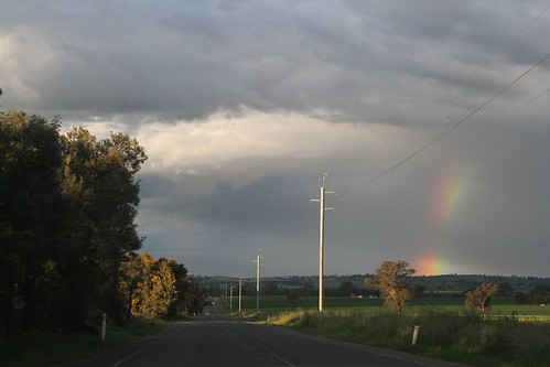 Rainbow over Byrnes Road, Bomen