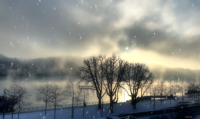 Winter am Rhein (Koblenz) (in explore 12-27-2022)