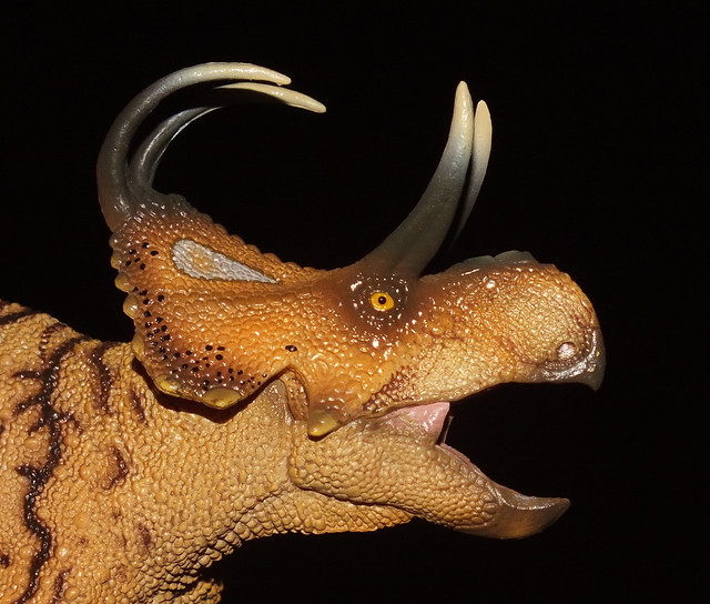 Bent sword horned face  ceratopsid (†Machairoceratops cronusi) head PNSO replica