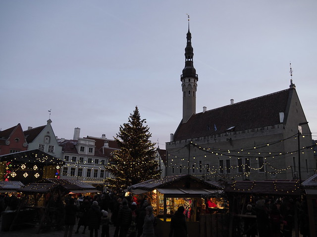 Tallinn Christmas Tree, Town Hall Square