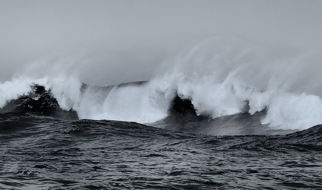 Wave in Black & White