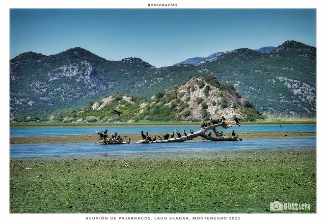 Sexta versión del Lago de Skadar, Montenegro