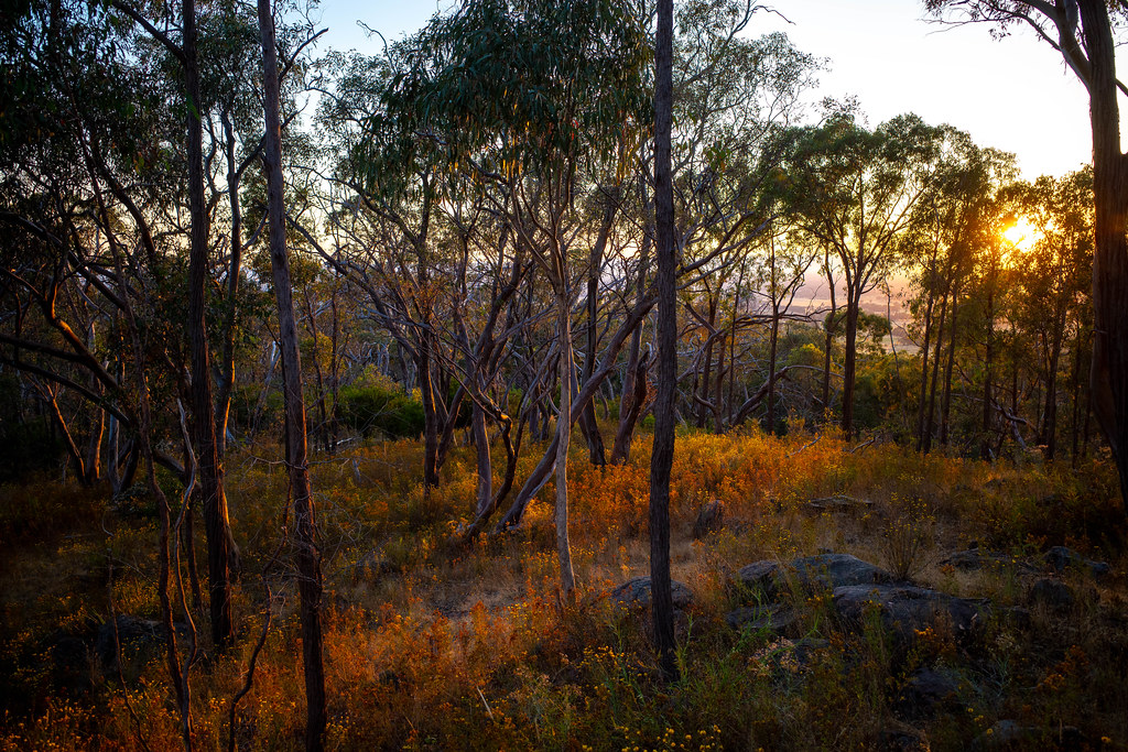 Warby-Ovens National Park, Victoria