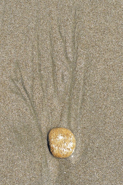 Beach Abstract with Pebble